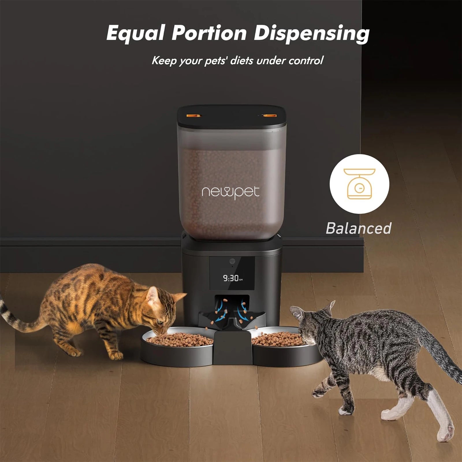 Newpet 8l alimentador automático de cães e gatos