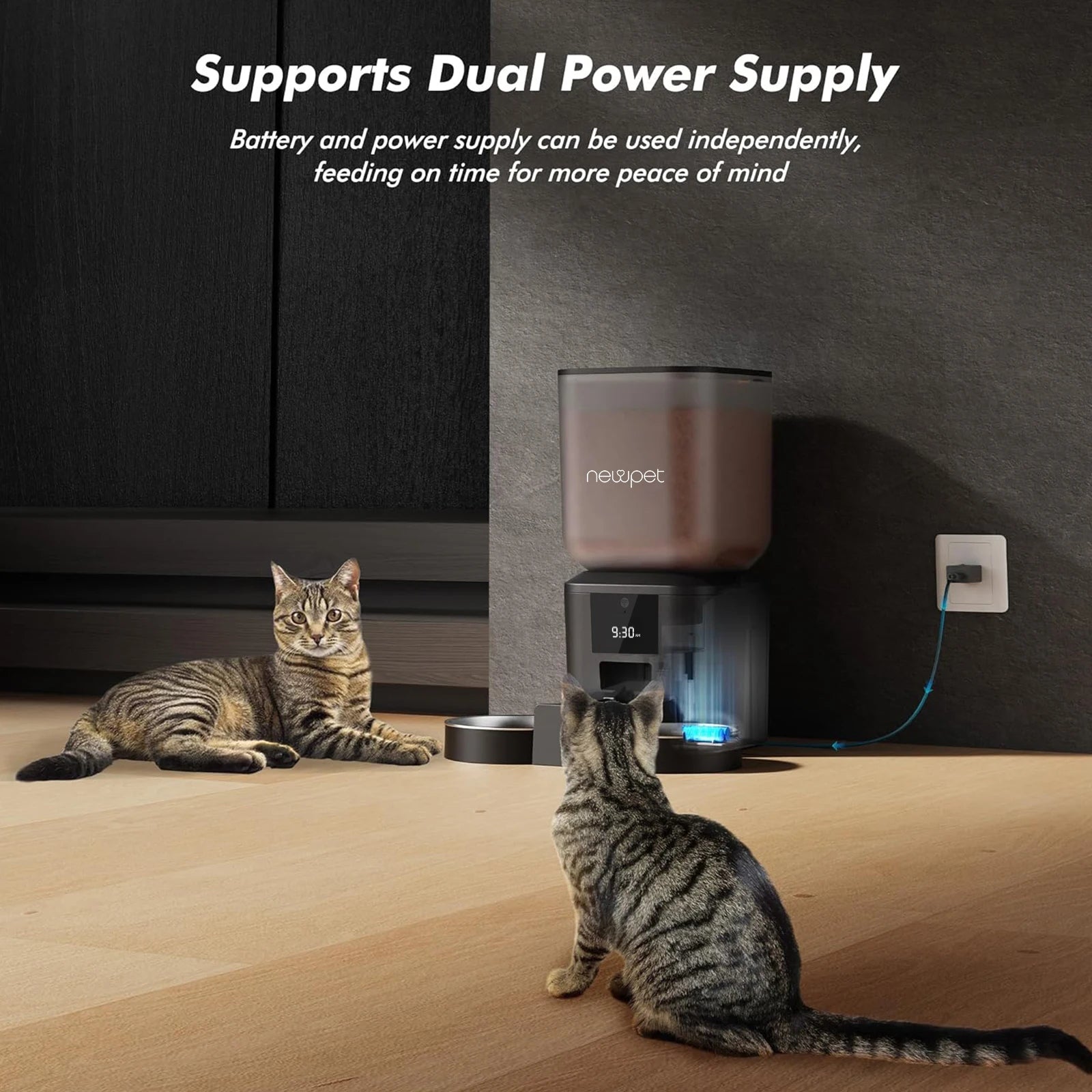 Newpet 8l alimentador automático de cães e gatos