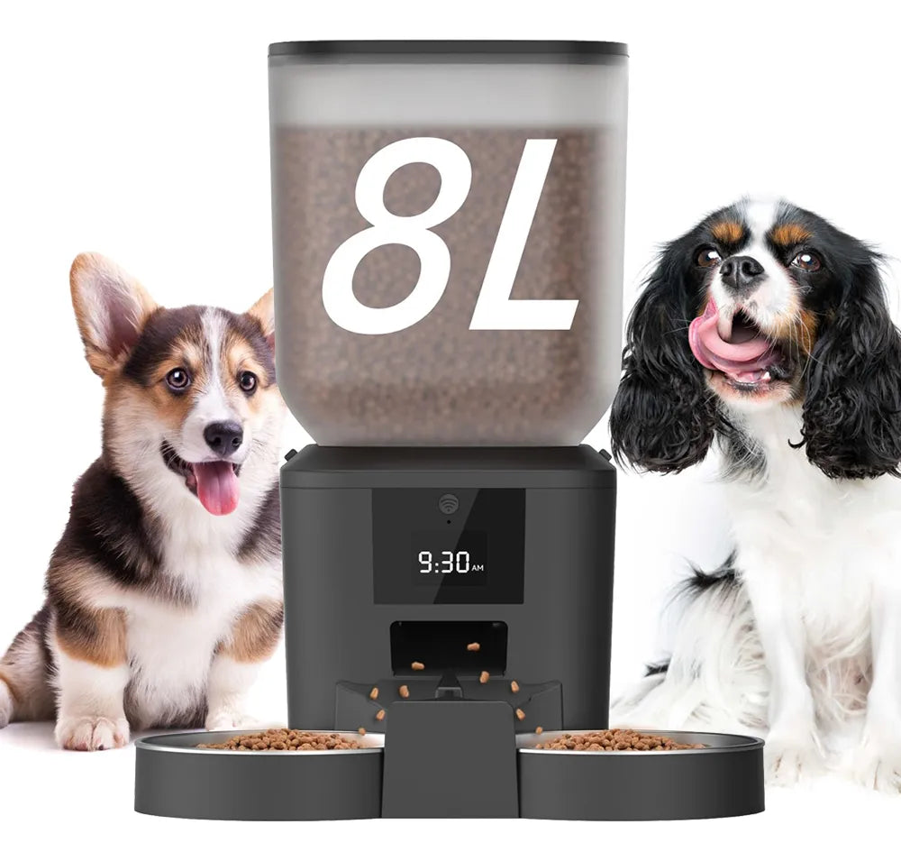 Newpet 8l alimentador automático de cães e gatos