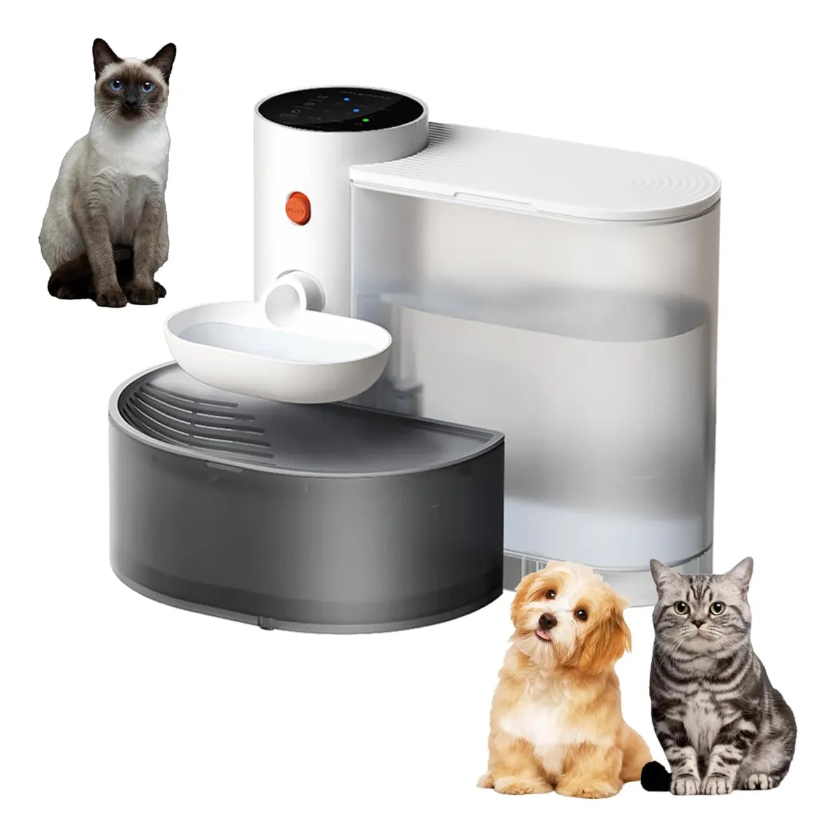 Newpet inteligente despejo gato dispensador de água água corrente recarregável